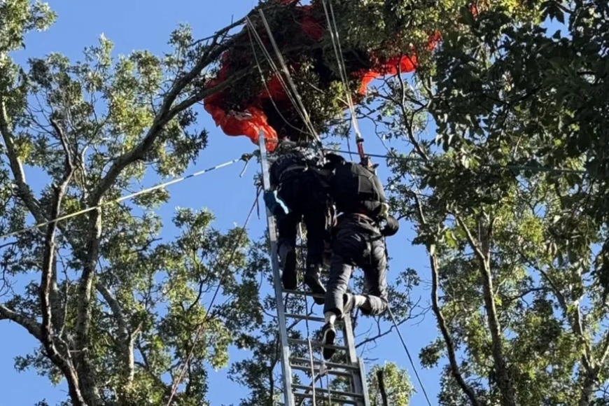 Skydiver killed after falling without parachute in Nashville