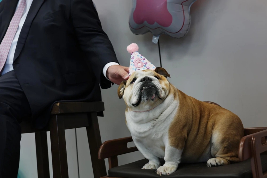Ritzy dinners and a dog's birthday party: Life's pretty normal for Congress and Trump despite shutdown